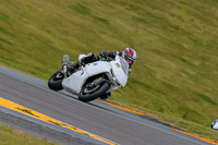 PJ-Motorsport-2019;anglesey-no-limits-trackday;anglesey-photographs;anglesey-trackday-photographs;enduro-digital-images;event-digital-images;eventdigitalimages;no-limits-trackdays;peter-wileman-photography;racing-digital-images;trac-mon;trackday-digital-images;trackday-photos;ty-croes